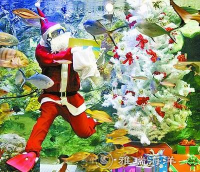 香港六和资料